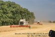 Claas Lexion 1_ Kopie.jpg