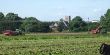 England_II_13.JPG