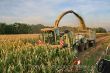 Maissilage_nachts_02 Kopie.jpg