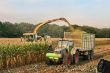 Maissilage_nachts_03 Kopie.jpg