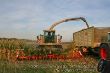 Maissilage_nachts_06 Kopie.jpg