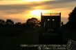 Maissilage_nachts_10 Kopie.jpg