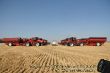Ready for harvest.jpg