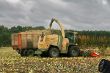 BigX_Maissilage_07.jpg
