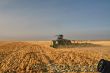 New Holland TJ425_12.jpg