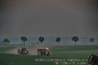 John Deere 8520 Claas Xerion 3300 12.jpg