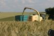 GPS und Grassilage 07.JPG