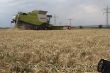 Claas Lexion 770 TerraTrac_05.JPG