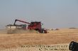Case Ih 8120_10.JPG