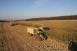 Claas Jaguar 960, Palandt Bunkermaus, Claas Axion 850 15.JPG