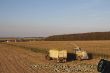 Claas Jaguar 960, Palandt Bunkermaus, Claas Axion 850 16.JPG
