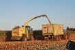 Krone BigX 1100_17.jpg