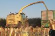 Krone BigX 1100_20.jpg