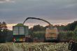 Krone BigX 1100_21.jpg