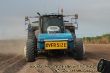 New Holland Zuckerrohr pflanzen.jpg