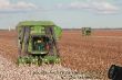 John Deere Baumwollernter.JPG