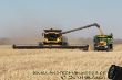 New Holland Drescher.jpg