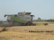 Lexion 600 von hinten