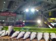 Lexion 600 in Terratrac Version