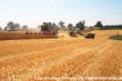Bild 8- Jan Hinnerk Paulsen hat 3 Claas Lexion 480 in Reihe fotografiert