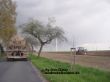 Vario 926 mit Pflug daneben