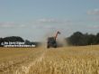 Fendt 930 mit Kaweco Überladewagen in der Ferne