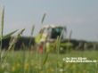 Claas Jaguar 870