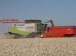 Lexion 600 lädt über