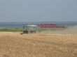 Fendtkabine vorm Meer