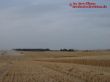 140 ha Weizen