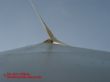 Windmühle.jpg