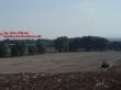 in der Ferne