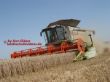 Lexion 600 Frosch.jpg