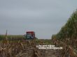 Fendt 930 auf Stoppelacker unterwegs.jpg
