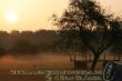 Sonne und Morgennebel.jpg