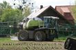 Xerion im Knick.jpg