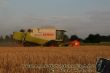 Lexion beim Dreschen.jpg