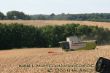 Claas Lexion am Hang.jpg