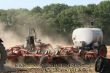 Horsch Tiger mit Wienhofffass.jpg