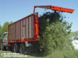 wagen beim entladen.jpg