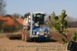 Xerion_3800_Kotte_08.JPG